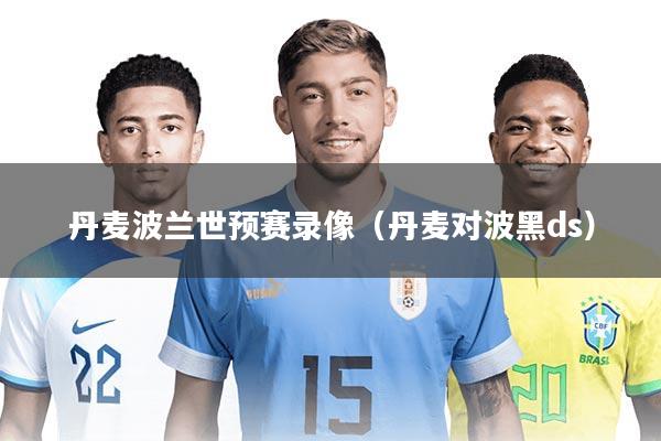 丹麦波兰世预赛录像（丹麦对波黑ds）